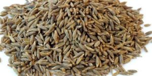 Organic Cumin Seeds