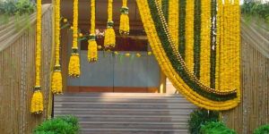 Haldi Function Decoration Services