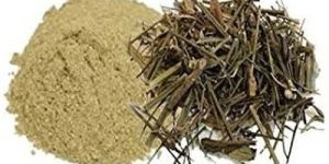 Chirata Extract Powder