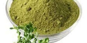 Organic Brahmi Powder
