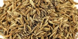Cumin Seeds