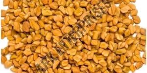 Fenugreek Seeds