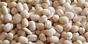 Urad Gota Dal