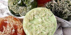 Carrot Honey Loofah Soap