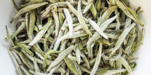 Organic Export Quality White Tea