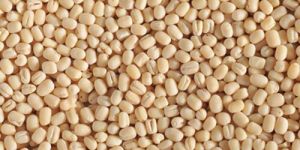 Urad Whole without Skin