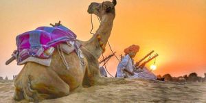 Jaisalmer Tours