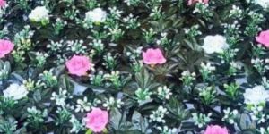 Wedding Stage Flower Backdrop Panel