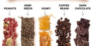 Proacto Plant Based Protein Snack Bar