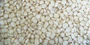 White Maize Seeds