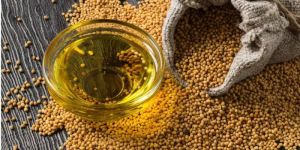 Yellow Olive Oil Seeds