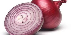 Organic Red Onion