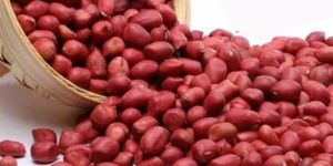 Red Natal Groundnut Kernel