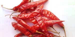 Teja Dry Red Chilli