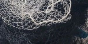 White Nylon Bird Net