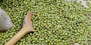 Mung Beans