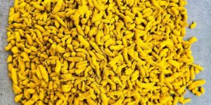 Turmeric Finger Tukdi