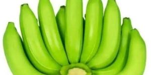 Fresh Green Cavendish Banana