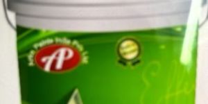 Shynpro Exterior Paint