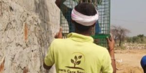 Commercial Landscaping Services