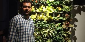 Vertical Garden Landscaping Services