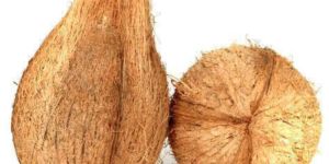 a Grade Whole Fully Husked Coconut