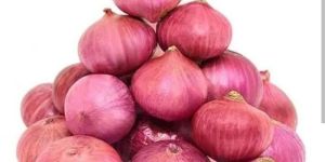 Onions