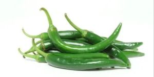 Fresh Green Chilli