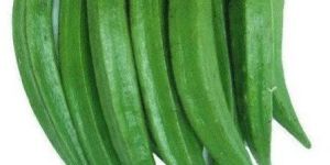 Fresh Green Okra