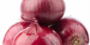 Fresh Red Onion