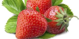 Fresh Strawberry