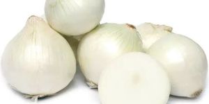 Fresh White Onion