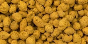 Rajapuri Turmeric Bulb