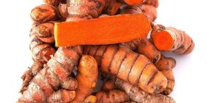 Raw Turmeric Finger