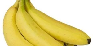 Yellow Cavendish Banana