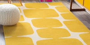 Softness Hand Tufted Carpet