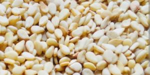 Sesame Seeds