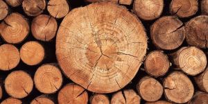 Wood Logs