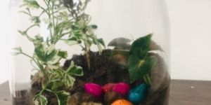 Terrarium