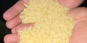 Parboiled IR64 Rice