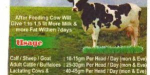 Slow Relishing Nitrogen