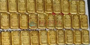 Raw Gold Bars
