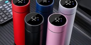 Temperature Display Bottle