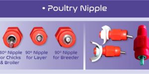 Poultry Layer Nipple