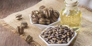 Castor Oil for Plastic Industry