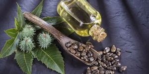 Pale Pressed Castor Oil