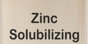 Zinc Solubilizing Bacteria