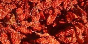 Dried Bhut Jolokia Chili
