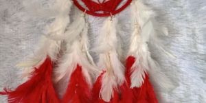 Red Dream Catchers