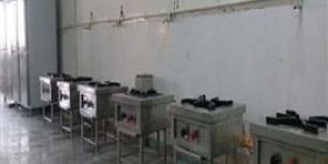 Restaurant Setup Consultant